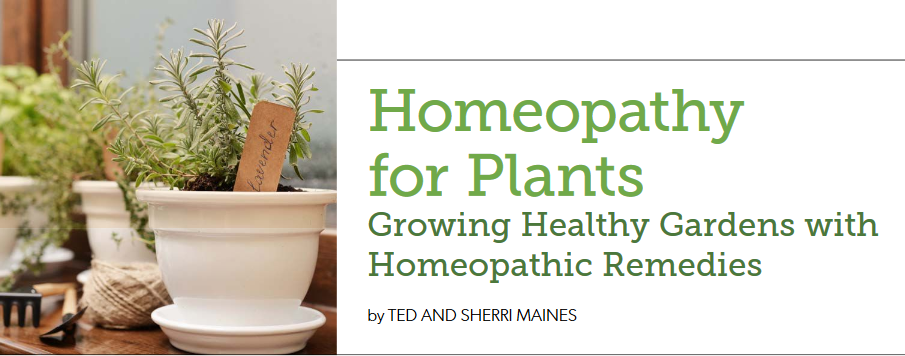 Homeopathy for Plants - Homeopathy Today Article - Winter 2019
